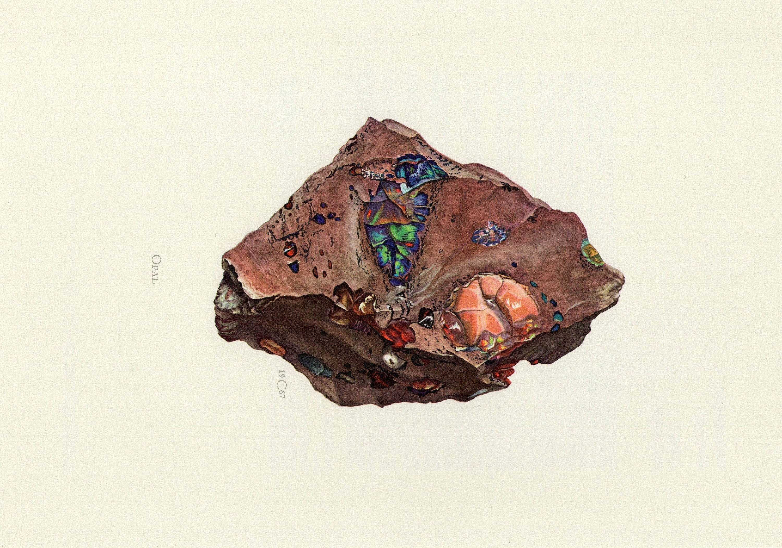 Unveiling the Enchanting World of Opals: A Glimpse into this Gemstone's Beauty